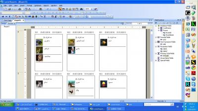 post-131781-089727400 1294846384_thumb.j