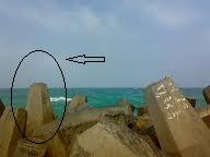 post-254321-065517300 1326021238_thumb.j
