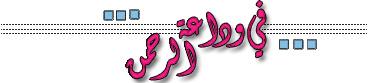 post-111738-1206267608_thumb.jpg