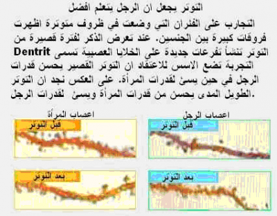 post-254621-062153200 1333218181_thumb.p