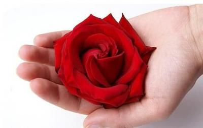 post-111465-033447400 1279904902_thumb.j