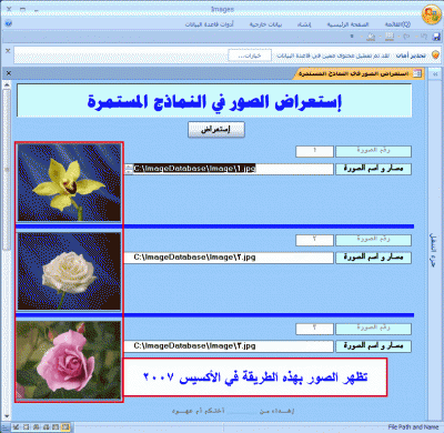 post-15367-1224176618_thumb.gif