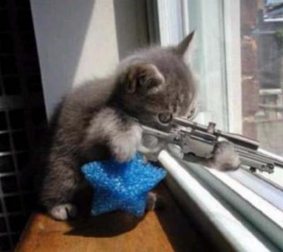post-55473-1224603104_thumb.jpg