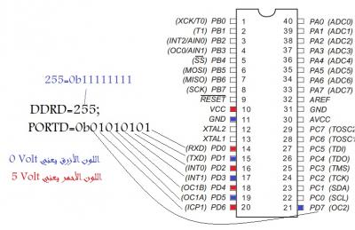 post-256536-099019500 1351345289_thumb.j