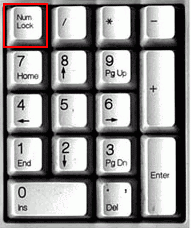 post-15367-1197402695_thumb.gif