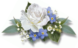 post-17020-1228909448_thumb.gif