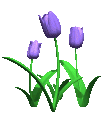 post-111-1081705712_thumb.gif