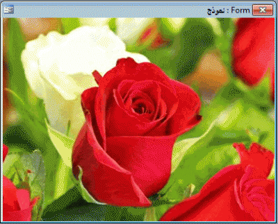 post-15367-0-34421300-1382177168_thumb.g