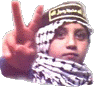 post-78624-1169023964_thumb.gif